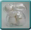 Bunny Clear Favour Box