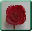 Resin Rose Tie Pin