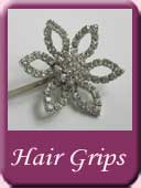 Hair Grips