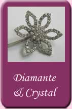 Diamante & Set Crystal Hair Grips (Clear)