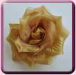 Gold Shiny Rose Hair Clip