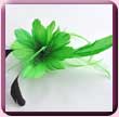 Bright Green Feather Lily