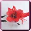 Bright Red Feather Lily