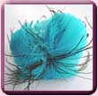 Turquoise Round Feather Flower Hair Band Fascinator