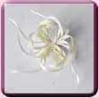 Cream Loopy Lou Fascinator