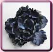 Blue Frilly Peony Fascinator