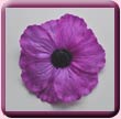 Purple Poppy Fascinator