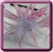 Pink & Lilac Spiky Feather Flower Fascinator/Hair Band 