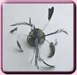 Sage Green Triple Sinamay Rose Fascinator