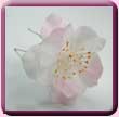 Fabric Wild Rose Hair Pin