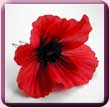 Poppy Hair Pin