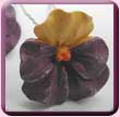 Resin Pansy Hair Pin